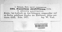 Image Associated With the Occurrence